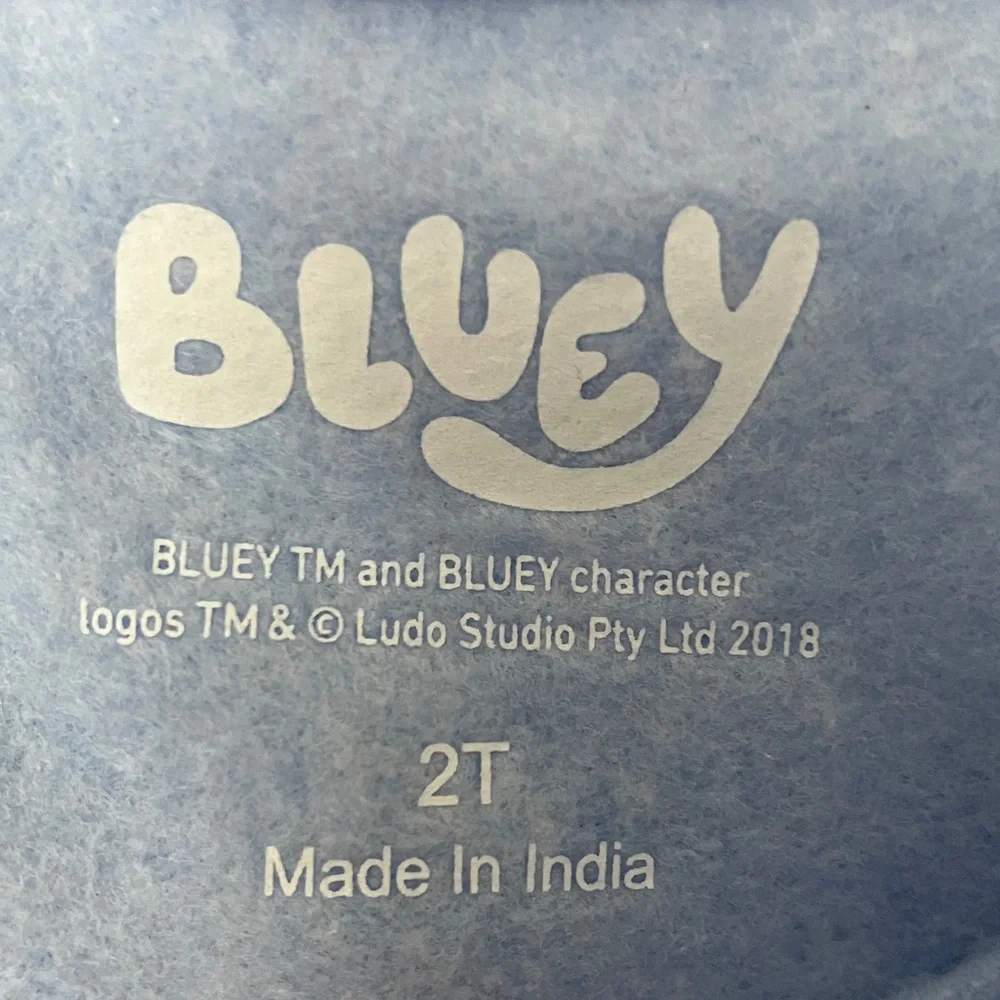 Bluey Cheers Sweatshirt and Pants Set NWT 2T
